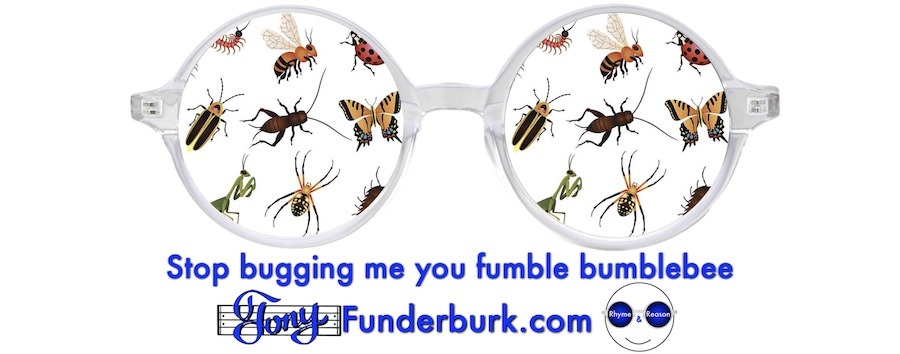 Stop bugging me you fumble bumblebee