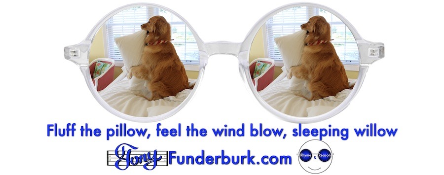 Fluff the pillow, feel the wind blow, sleeping willow