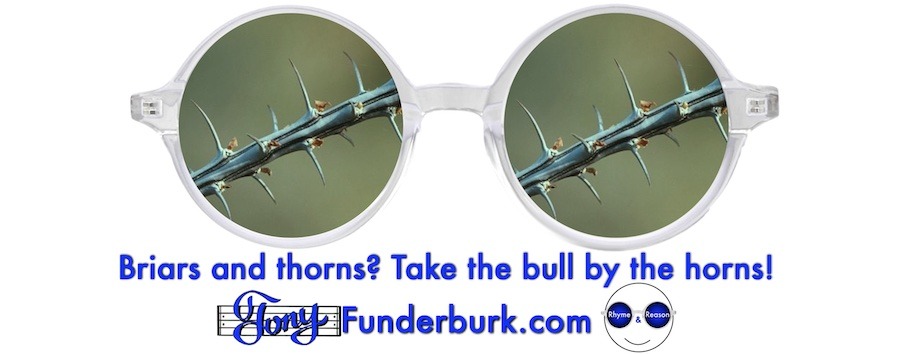 Briars and thorns? Take the bull by the horns!