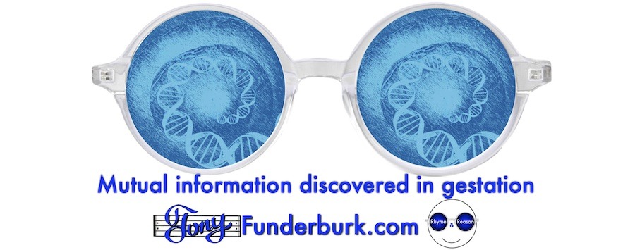 Mutual information discovered in gestation