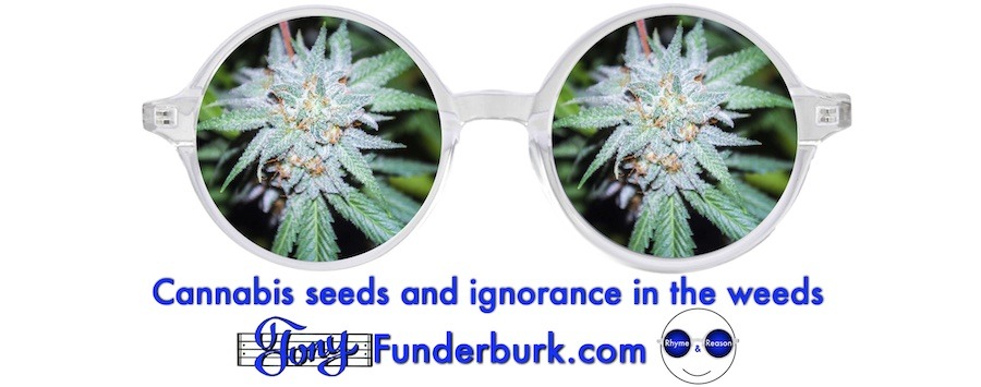 Cannabis seeds and ignorance in the weeds