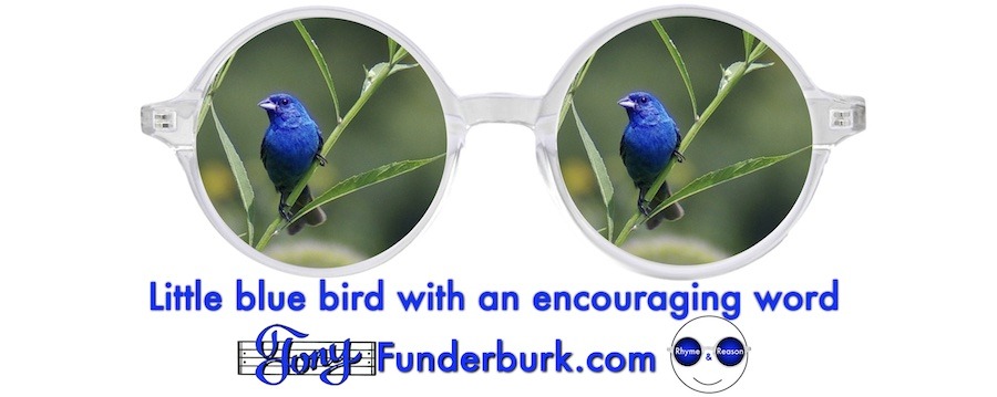 Little blue bird with an encouraging word