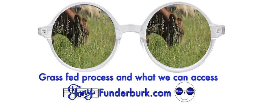 Grass fed process and what we can access
