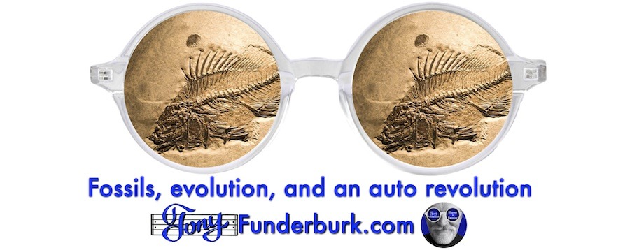 Fossils evolution and an auto revolution