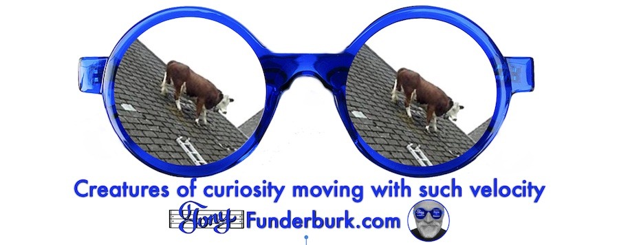 Creatures of curiosity moving with such velocity