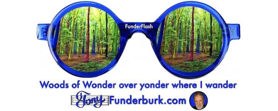 Woods of Wonder over yonder where I wander