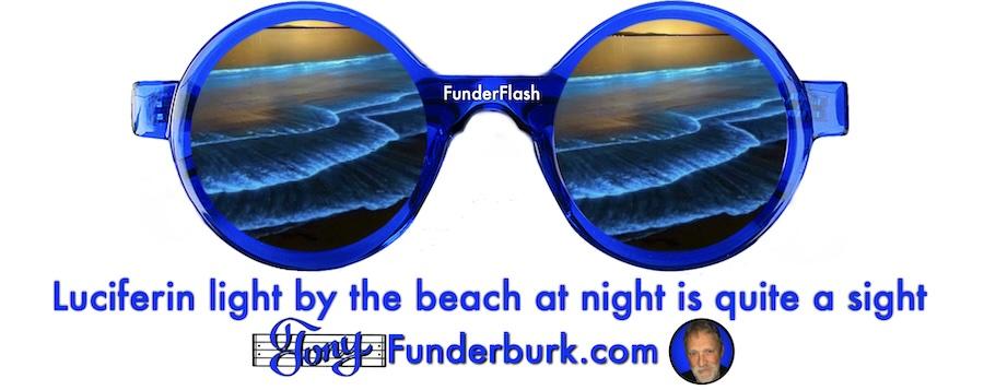Luciferin light by the beach at night is quite a sight