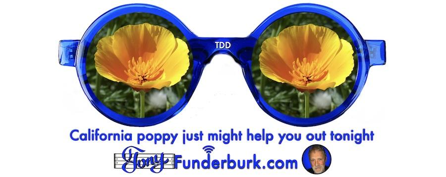 California poppy just might help you out tonight