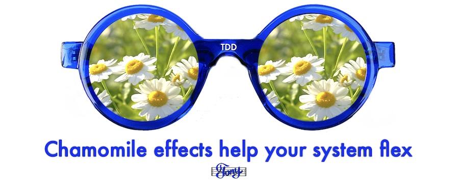 Chamomile effects help your system flex
