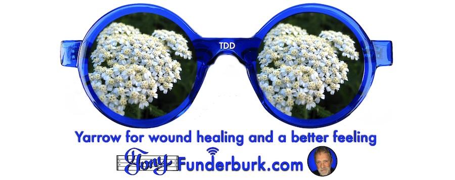 Yarrow for wound healing and a better feeling