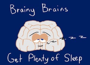 Children's writer, Tony Funderburk, shares a rhyme time about how sleep is good for the brain.