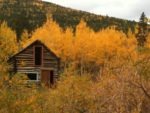 Cabin In The Gold