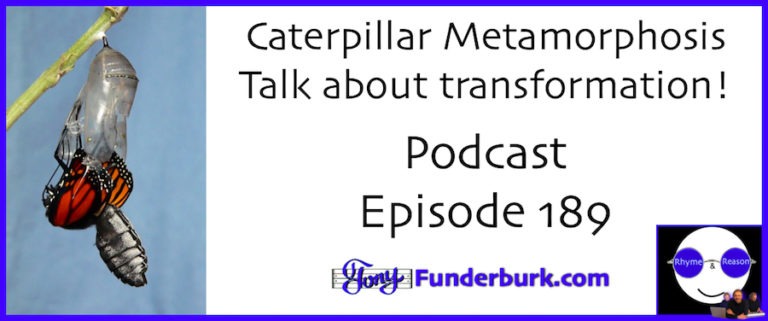 caterpillar metamorphosis