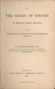 Check out the racist undertones found in the chance and circumstance of Charles Darwin's work.