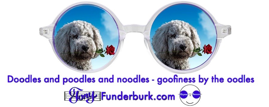 Doodles and poodles and noodles - goofiness by the oodles