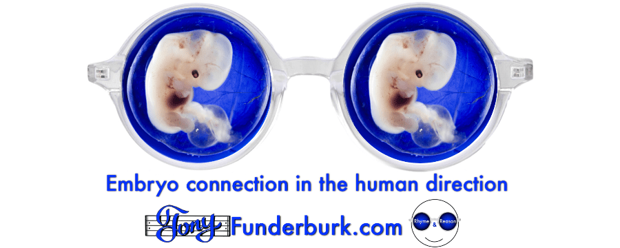 Embryo connection in the human direction