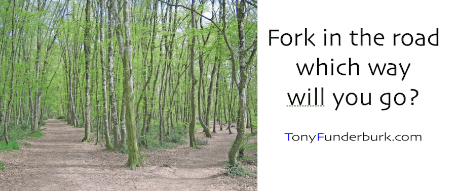 Fork In The Road