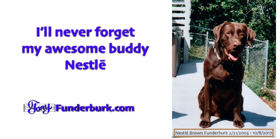 Gotta love a lab like Nestle