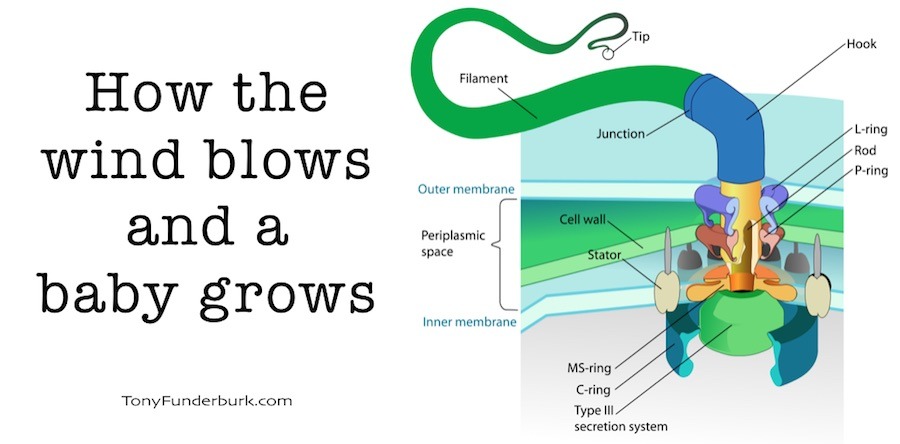 How The Wind Blows