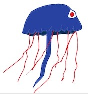 Fossilized Jellyfish are some awesome evidence for the worldwide flood found in the Bible.